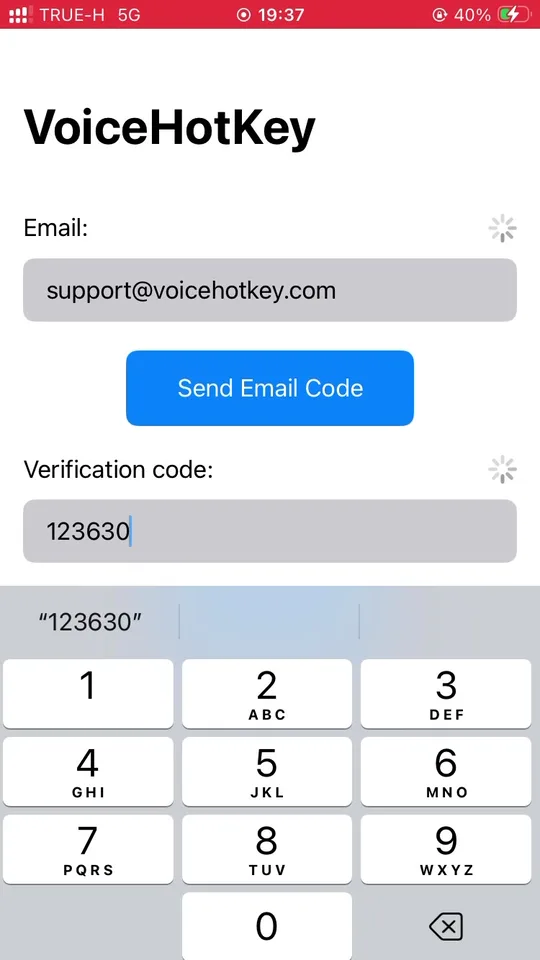 Verification code entered, Log in button