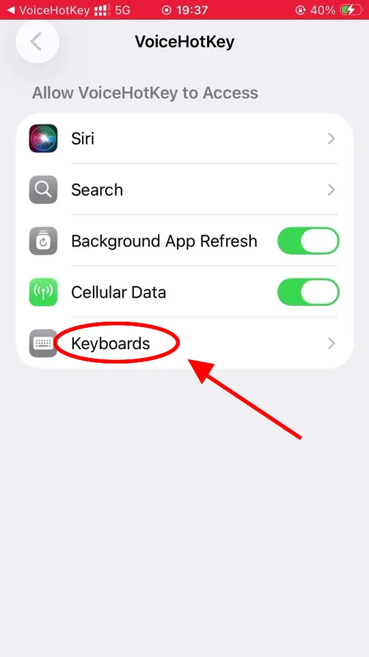 iOS Settings showing VoiceHotKey access